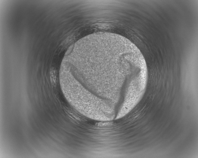 X0000051860135200507221907