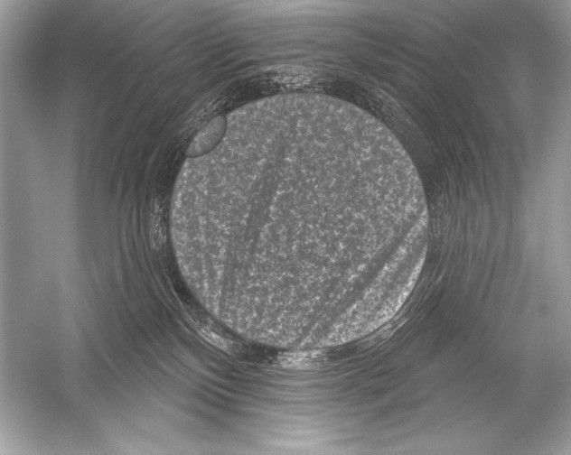 X0000051860136200507221907