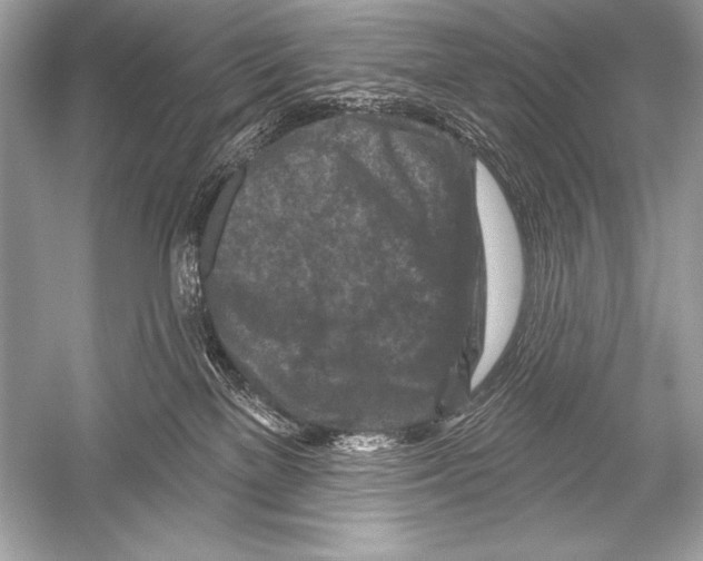 X0000051860137200507221907