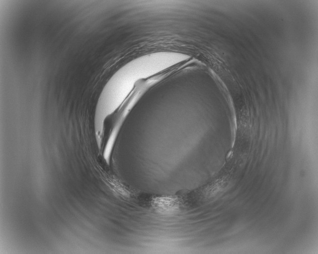 X0000051860139200507221907