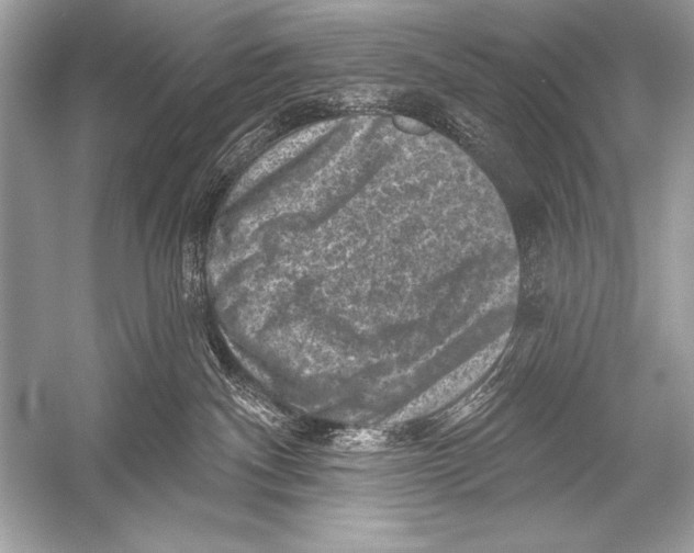 X0000051860140200507221907