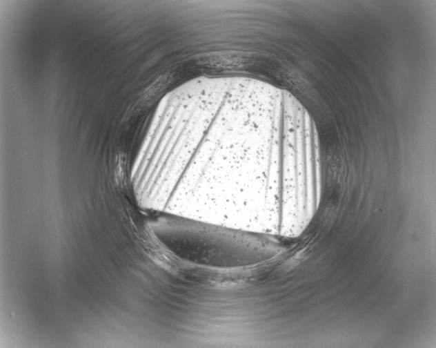 X0000051860141200507221907