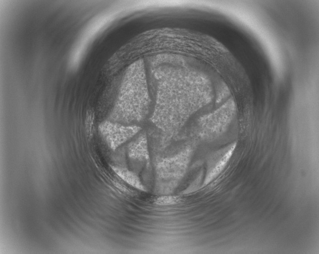 X0000051860142200507221907