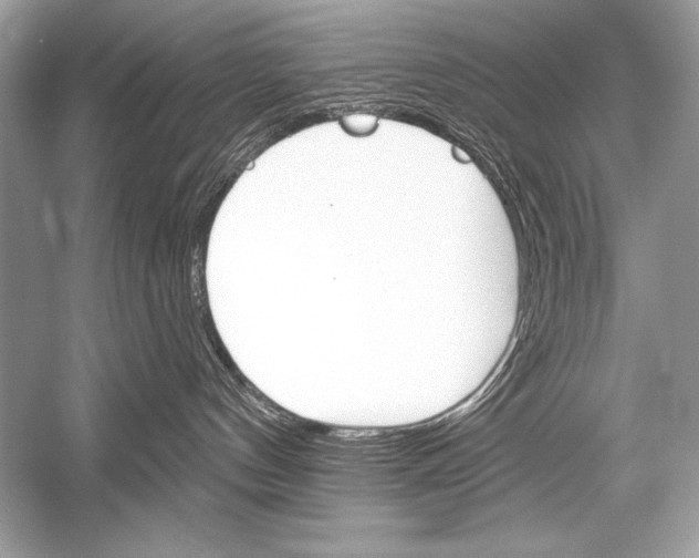 X0000051860144200507221907