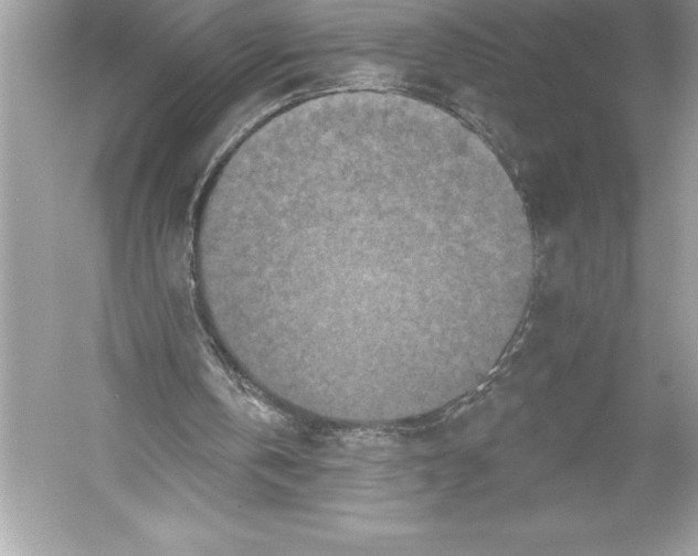 X0000051860146200507221906