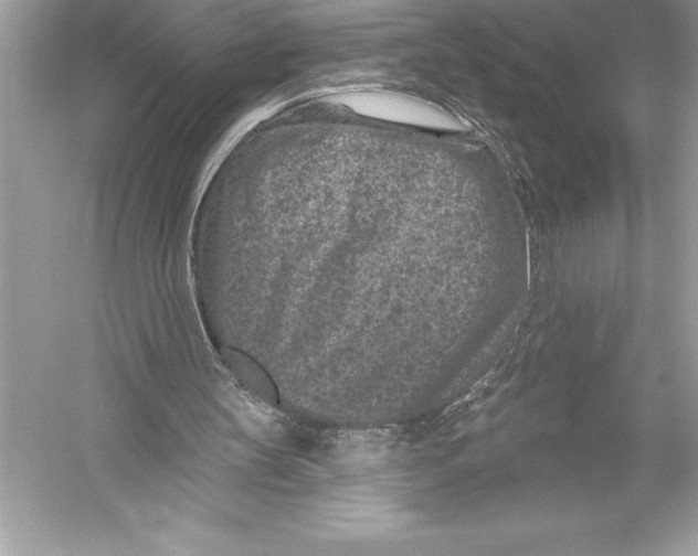 X0000051860147200507221906