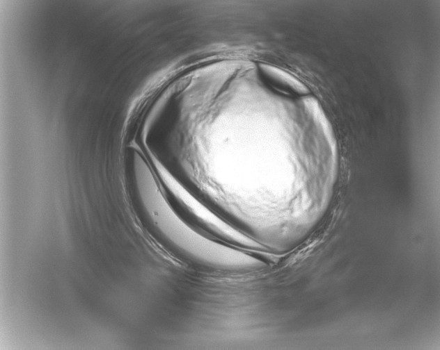 X0000051860149200507221906