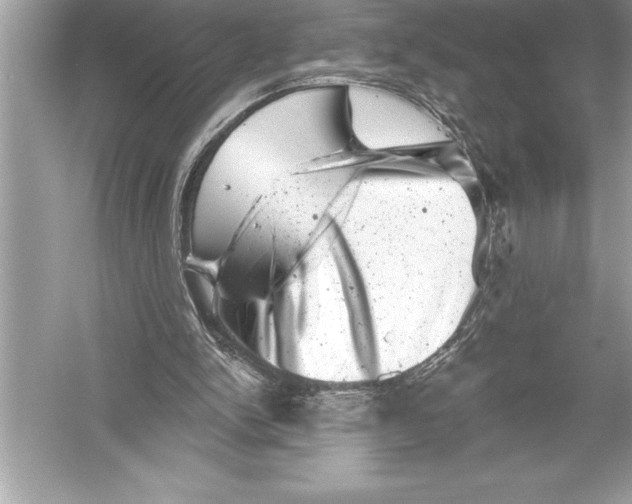 X0000051860150200507221906