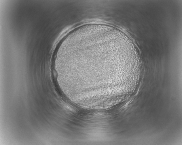 X0000051860151200507221906