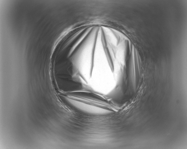 X0000051860152200507221906