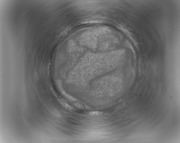 X0000051860153200507221906