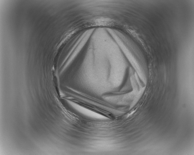 X0000051860154200507221906