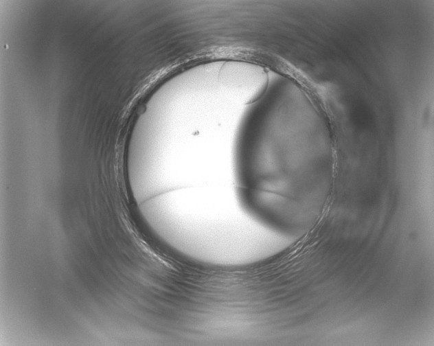 X0000051860155200507221906