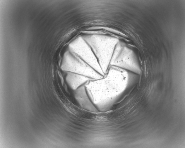 X0000051860157200507221906