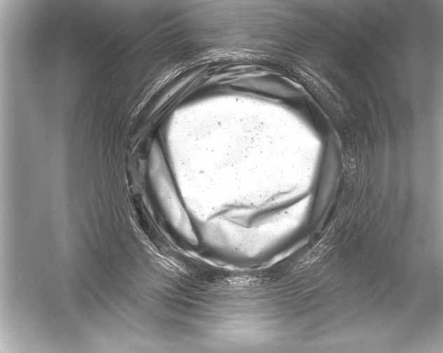 X0000051860158200507221906