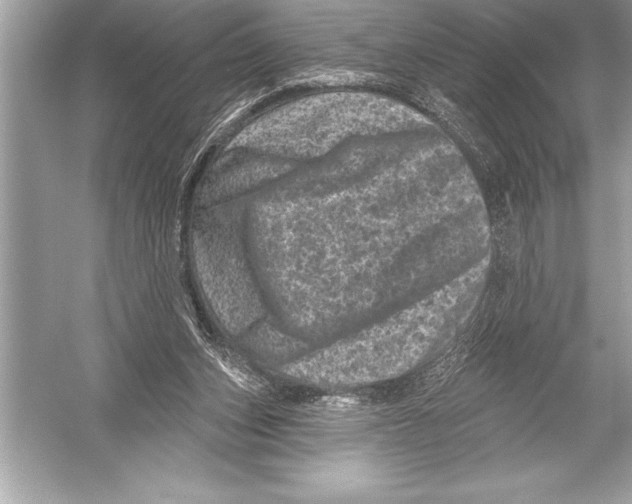 X0000051860159200507221906