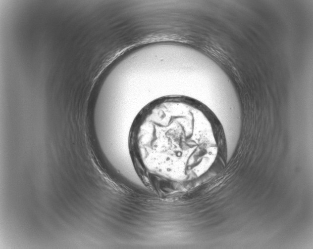 X0000051860160200507221906