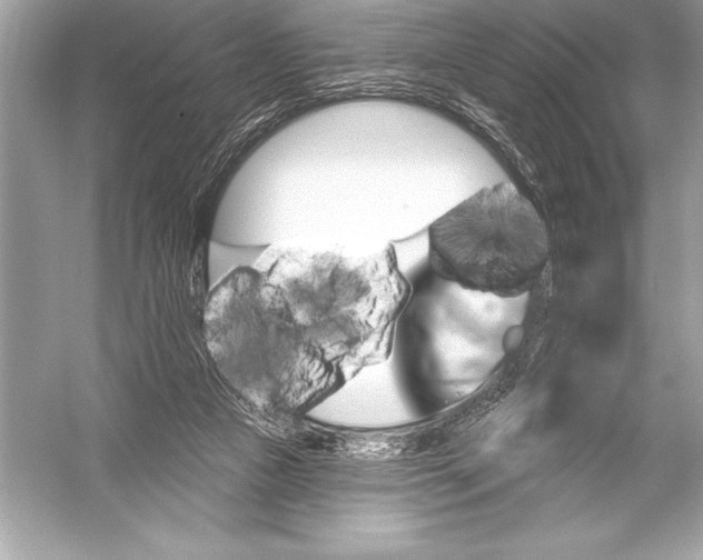 X0000051860161200507221906