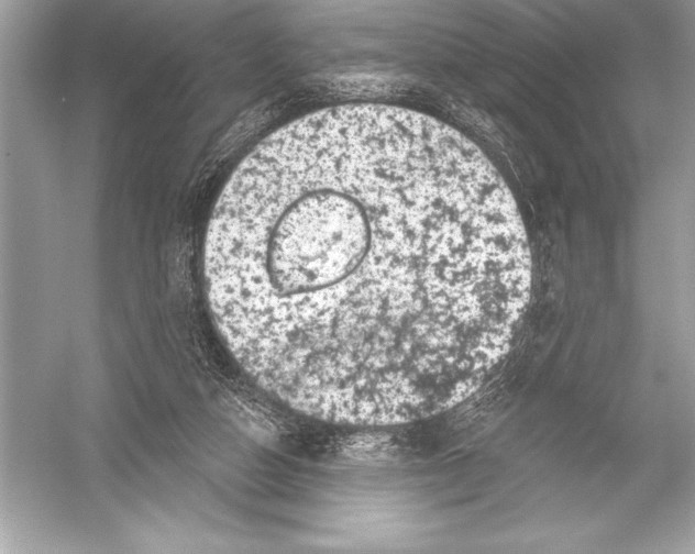 X0000051860162200507221906