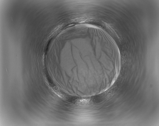 X0000051860163200507221906