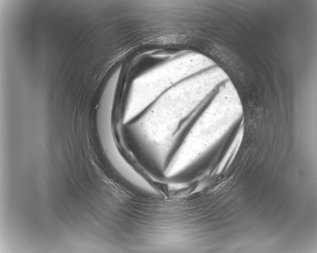 X0000051860164200507221906