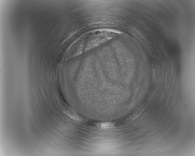 X0000051860165200507221906