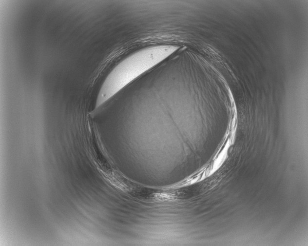 X0000051860167200507221906