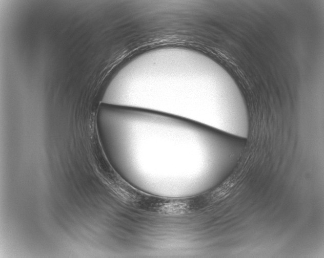 X0000051860168200507221906