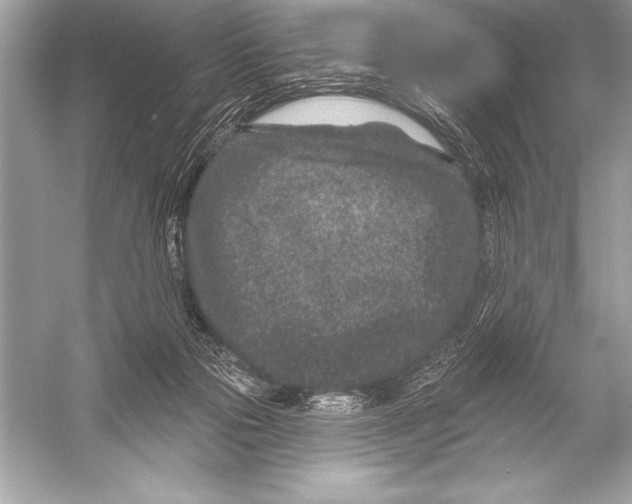 X0000051860169200507221906