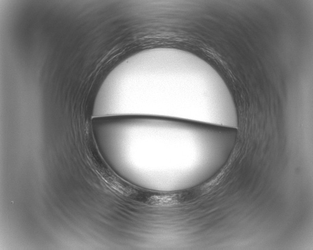 X0000051860170200507221906