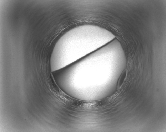 X0000051860172200507221906