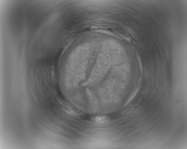 X0000051860173200507221906