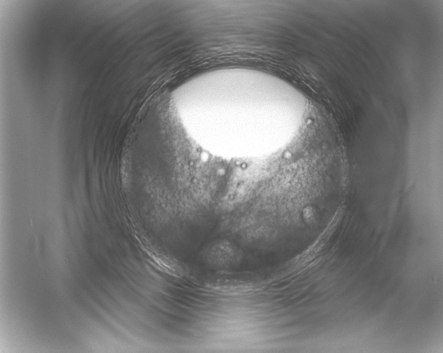 X0000051860175200507221906