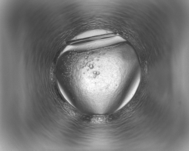 X0000051860177200507221906