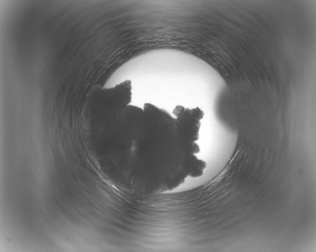 X0000051860179200507221906