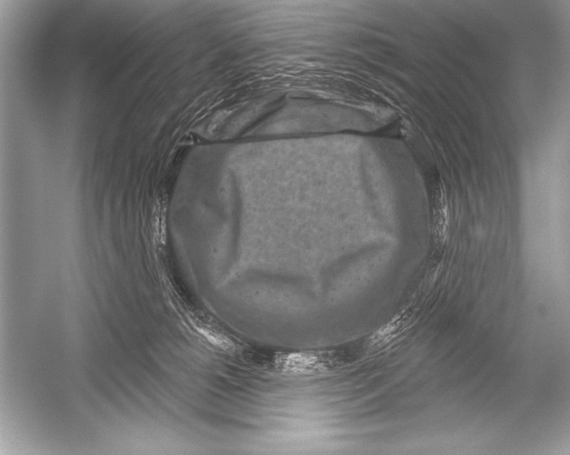 X0000051860180200507221906