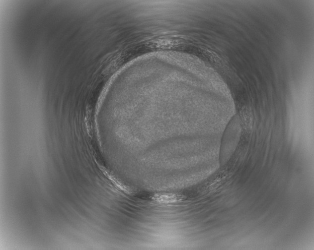 X0000051860181200507221906