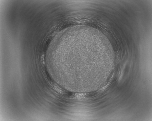 X0000051860182200507221906