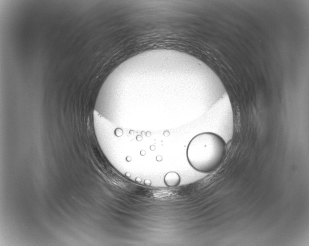 X0000051860183200507221906