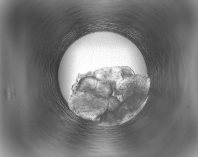 X0000051860185200507221906