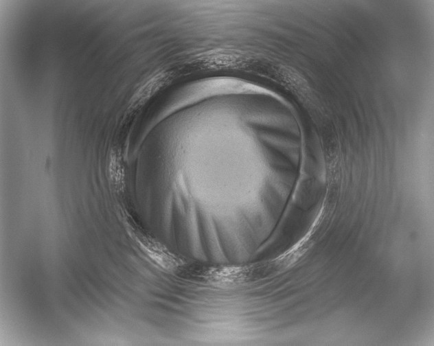 X0000051860186200507221906