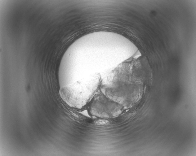 X0000051860189200507221906