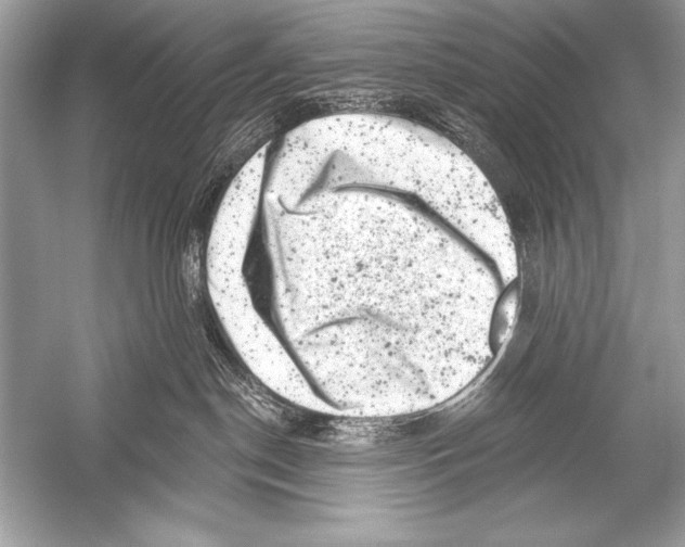 X0000051860190200507221907