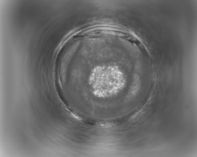 X0000051860199200507221906