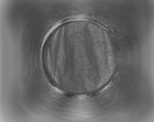 X0000051860200200507221906