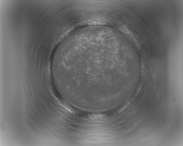 X0000051860202200507221906