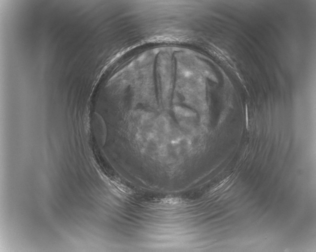 X0000051860204200507221906