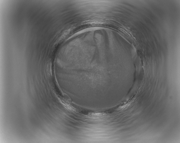 X0000051860205200507221906