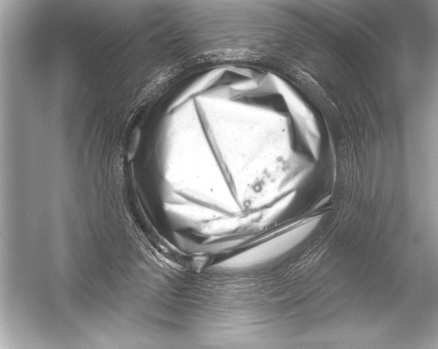 X0000051860207200507221905