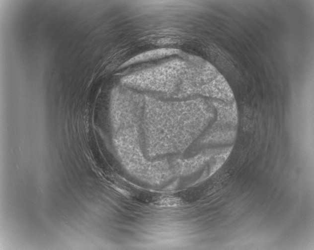 X0000051860210200507221905